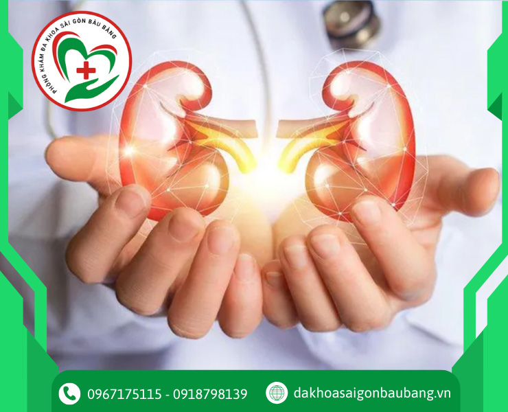 Cách phòng ngừa suy thận hiệu quả